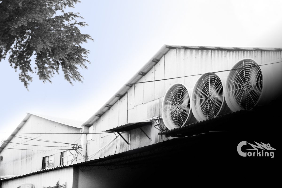 Baohui factory